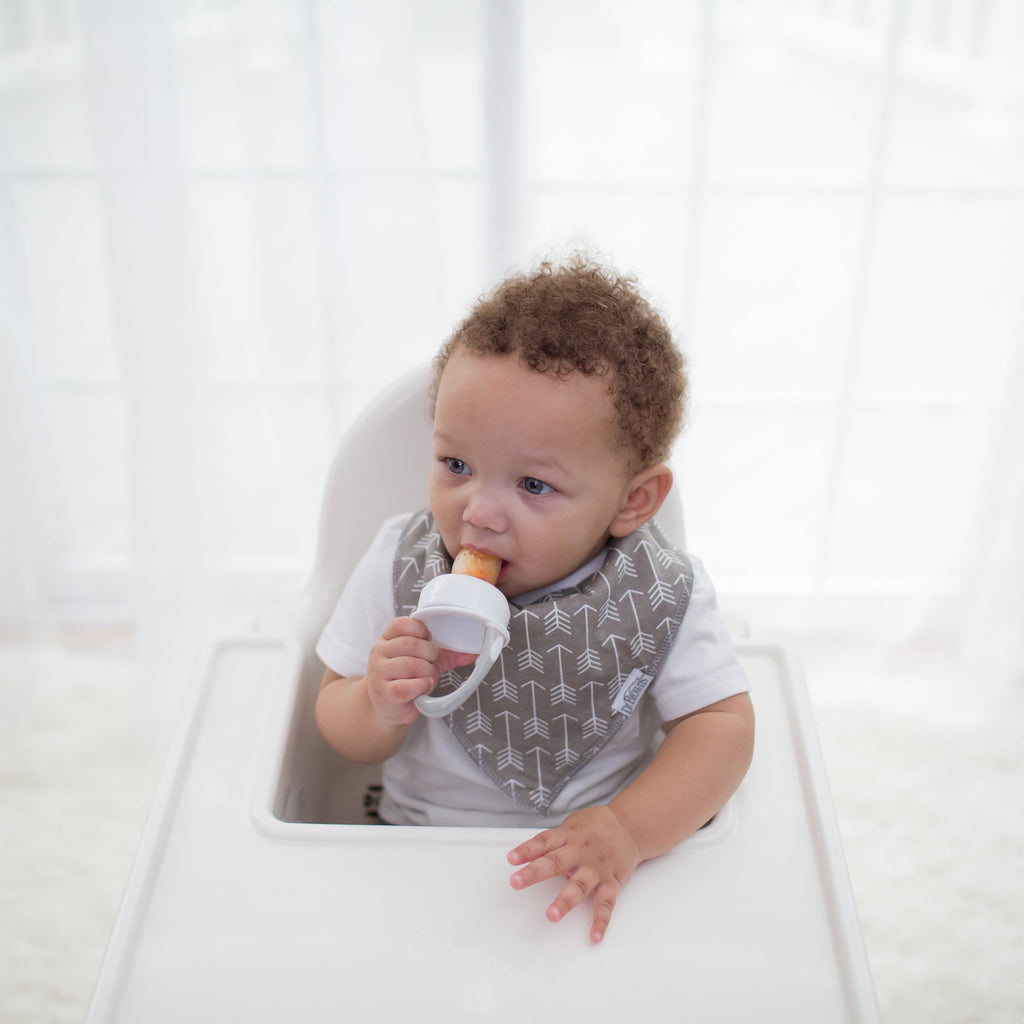 Dr. Brown's Designed to Nourish, Fresh Firsts Silicone Feeder, Solid Food Feeding, Mint/Gray, 2 Pack